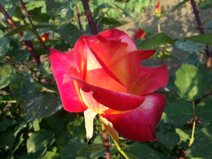 20160521_185005