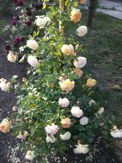 20160522_184617