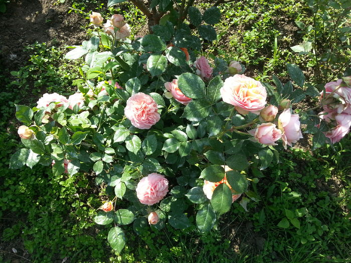 20160521_092450