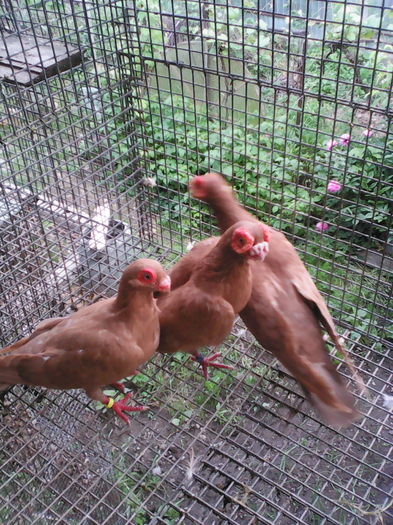 IMG_20160519_193516 - SELECTIV