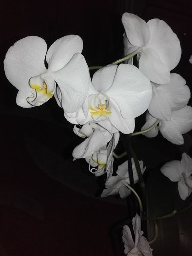 20160524_175715