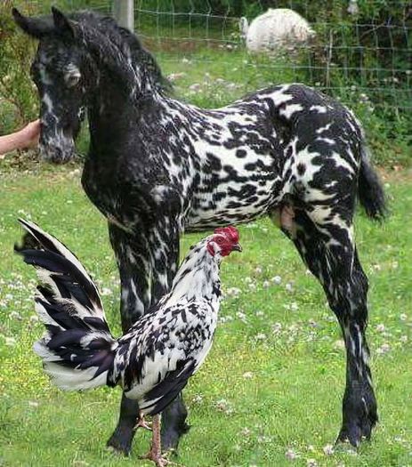 FB_IMG_1464077400291