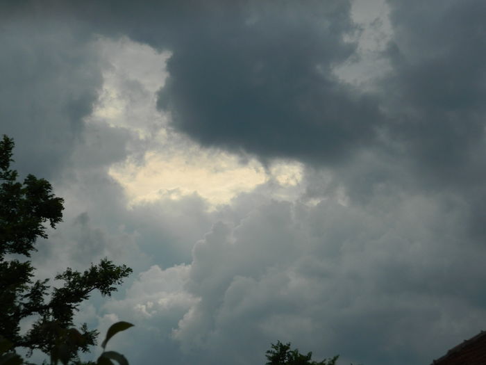 DSCN9315 - 2016 MAI_4