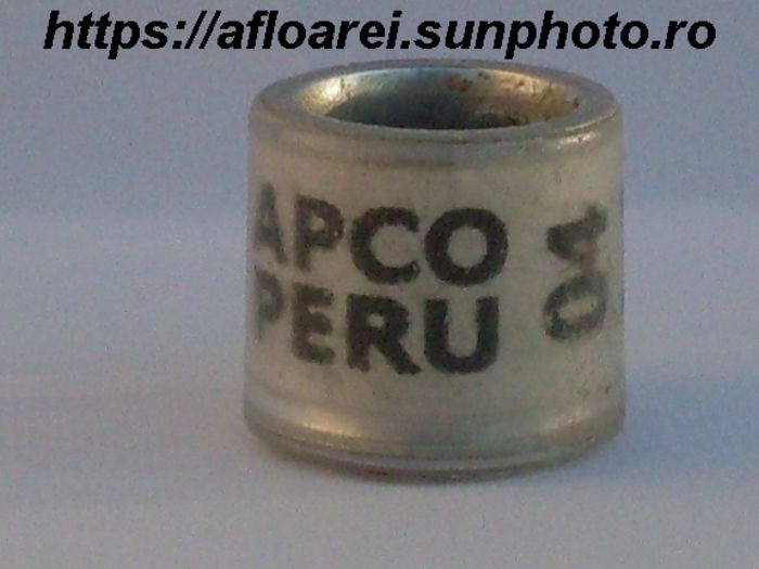 APCO PERU 04