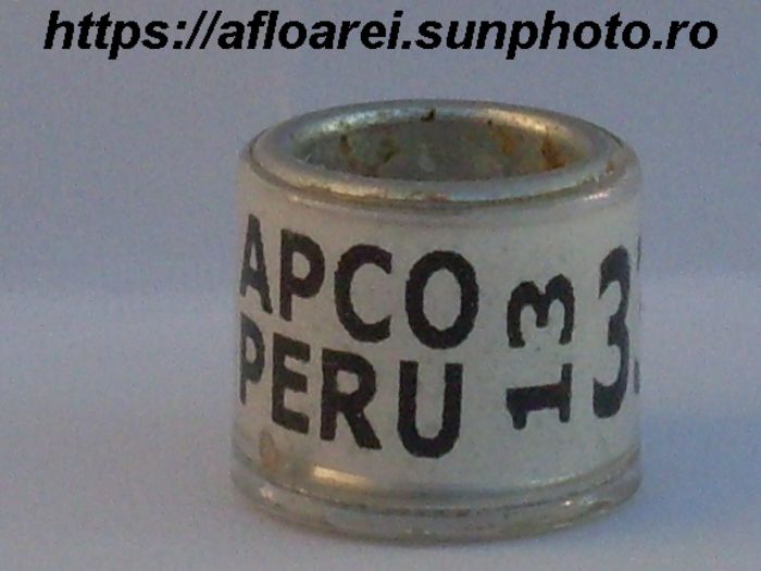APCO PERU 13 - PERU