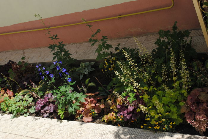 zona de umbra