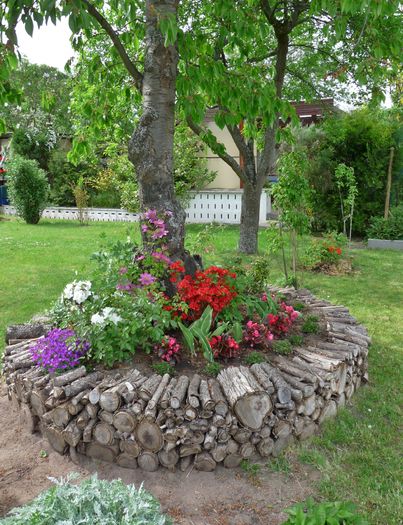 P1830600 - 2016 - 01 - Primavara