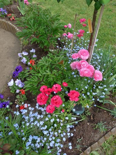 P1830639 - 2016 - 01 - Primavara