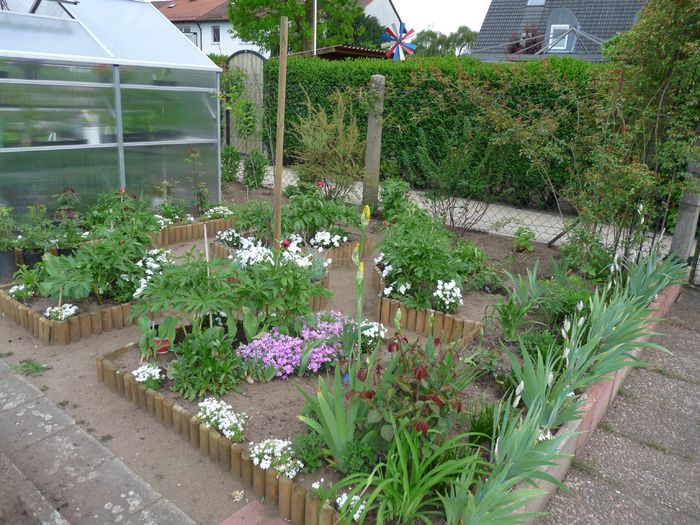 P1830703 - 2016 - 01 - Primavara