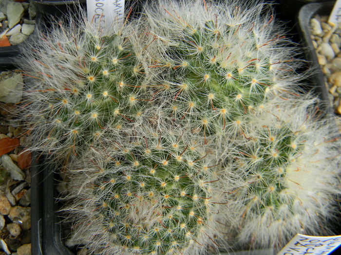 DSCN6722