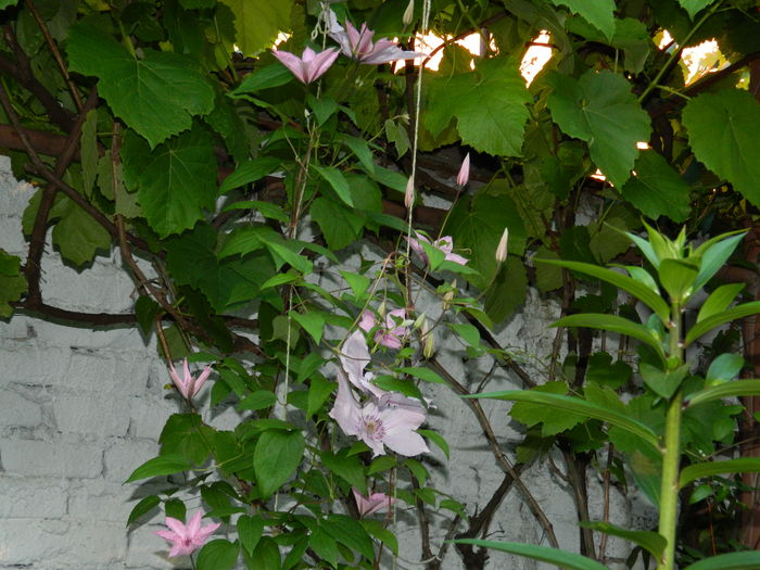 DSCN9593