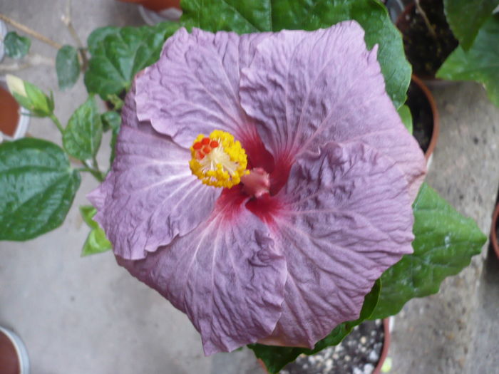 P1260937