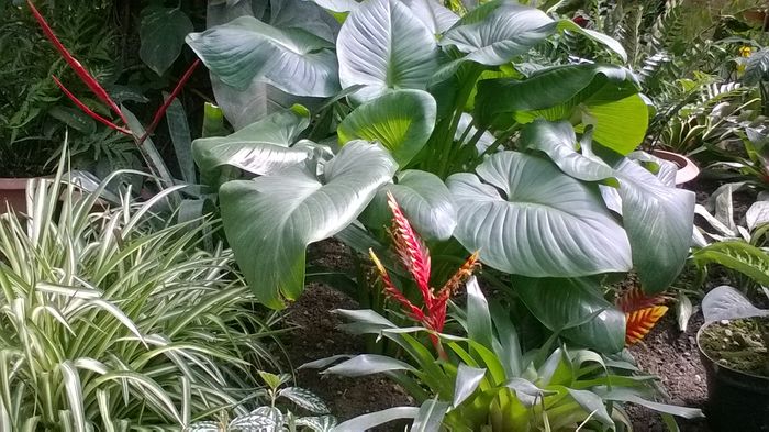 WP_20160515_15_30_51_Pro