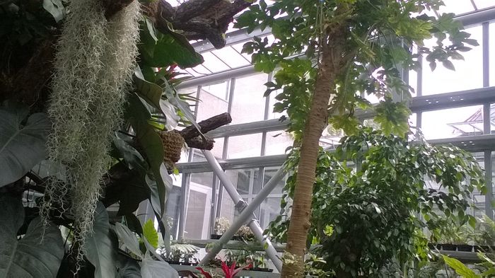 WP_20160515_15_30_56_Pro