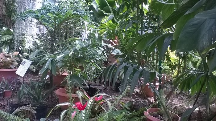 WP_20160515_15_31_19_Smart