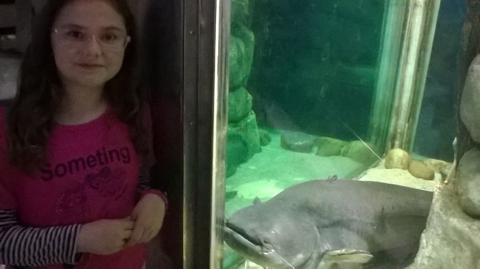 WP_20160515_15_34_49_Pro