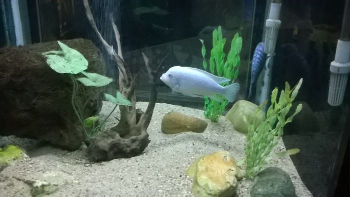 WP_20160515_15_35_07_Pro