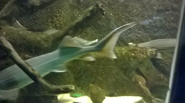 WP_20160515_15_35_45_Pro