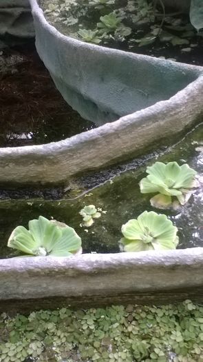 WP_20160515_15_39_24_Pro