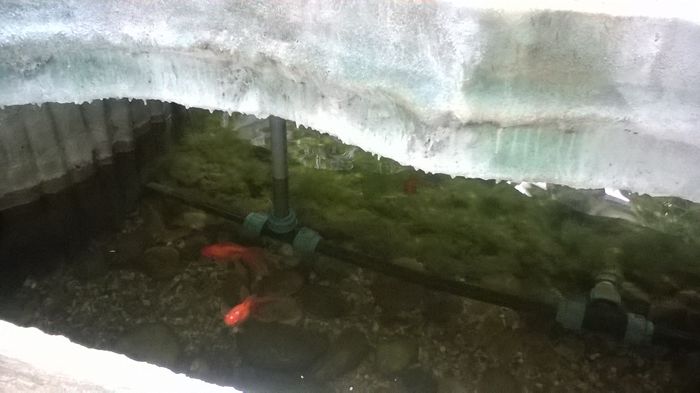 WP_20160515_15_39_37_Pro