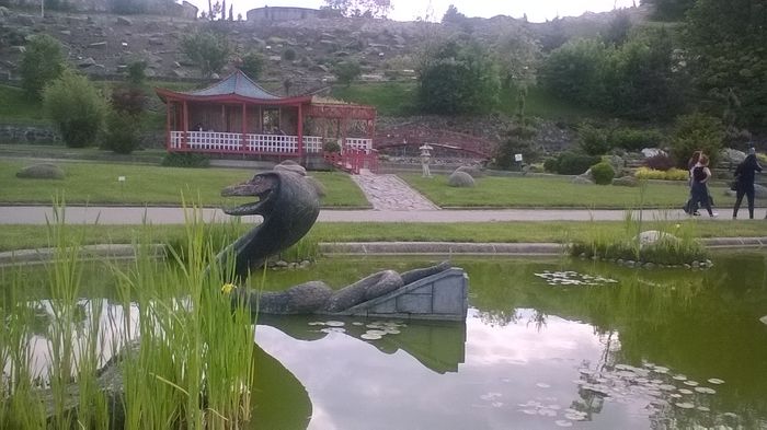 WP_20160515_16_10_34_Pro