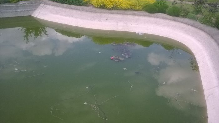 WP_20160515_16_11_21_Pro