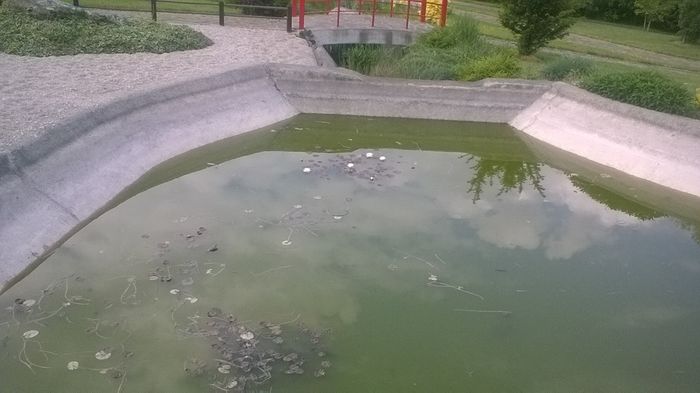 WP_20160515_16_11_24_Pro