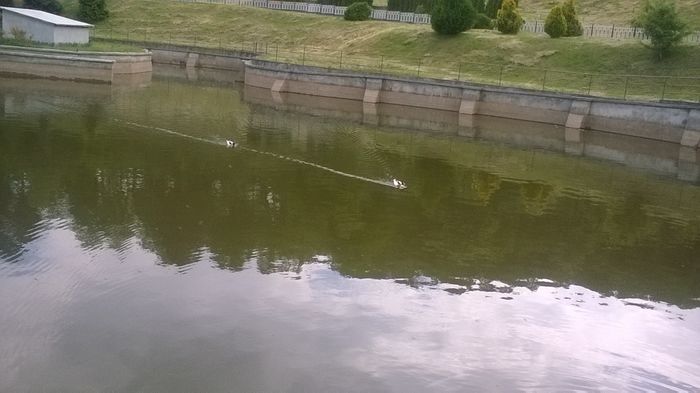 WP_20160515_16_18_54_Pro