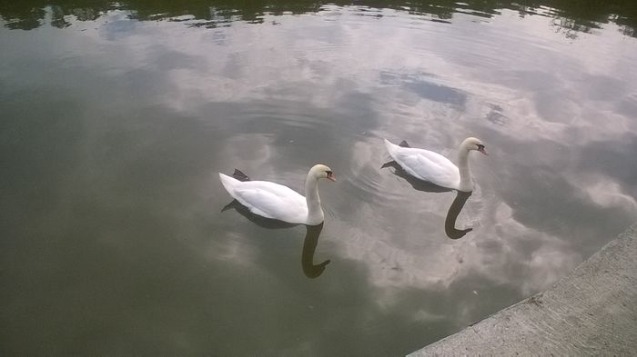 WP_20160515_16_19_00_Pro