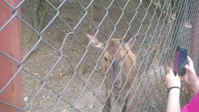 WP_20160515_16_30_48_Pro