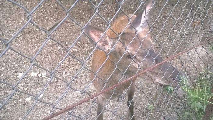 WP_20160515_16_30_59_Pro