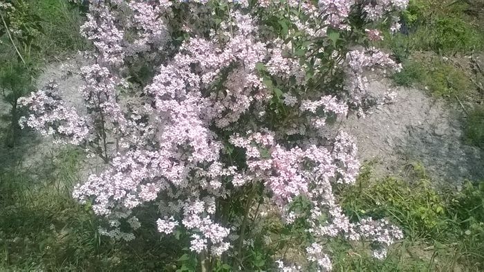 WP_20160515_16_37_28_Pro