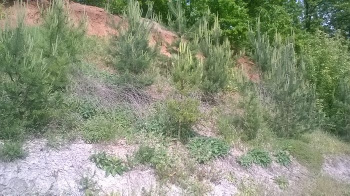 WP_20160515_16_38_02_Pro