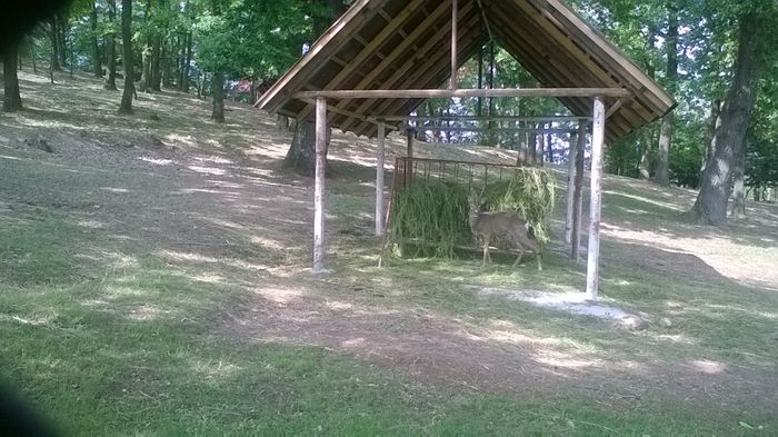 WP_20160515_16_39_43_Pro