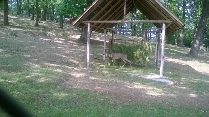 WP_20160515_16_39_45_Pro