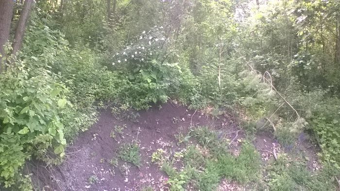 WP_20160515_16_46_07_Pro