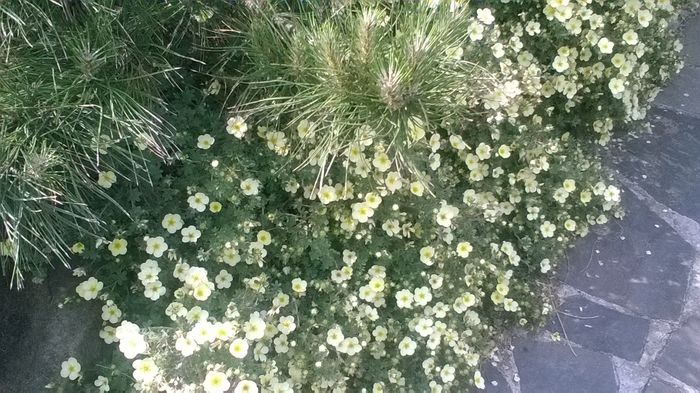 WP_20160515_16_54_02_Pro