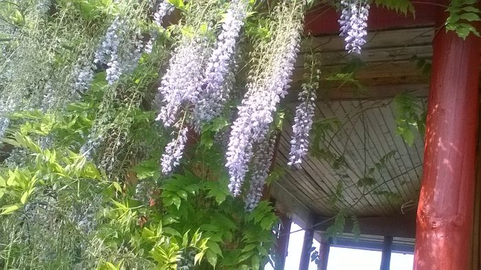 WP_20160515_16_54_11_Pro