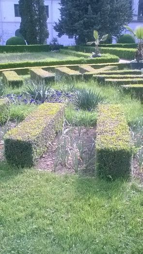 WP_20160515_17_00_15_Pro