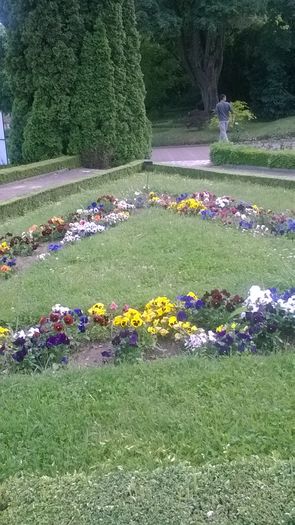 WP_20160515_17_03_41_Pro