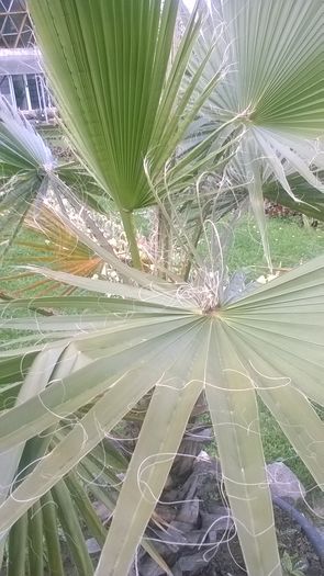 WP_20160515_17_05_06_Pro