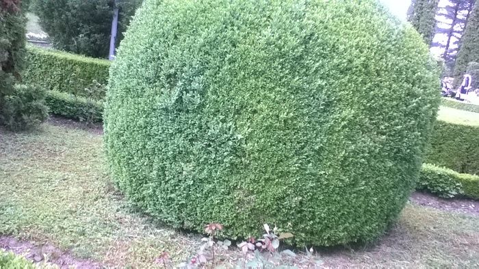 WP_20160515_17_07_38_Pro