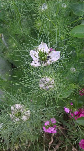 WP_20160525_10_05_27_Pro