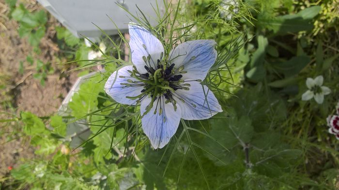 WP_20160525_13_09_19_Pro