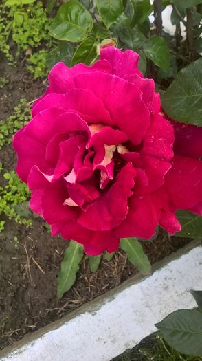 WP_20160525_15_01_41_Pro