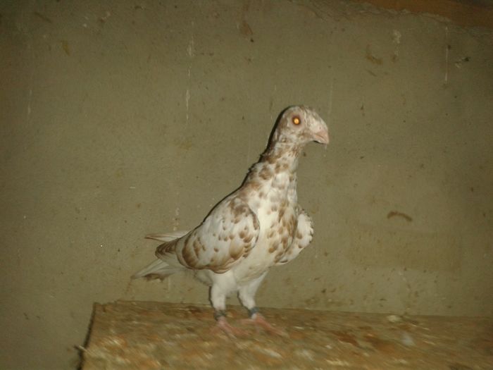 20160524_160928 - pui 2016