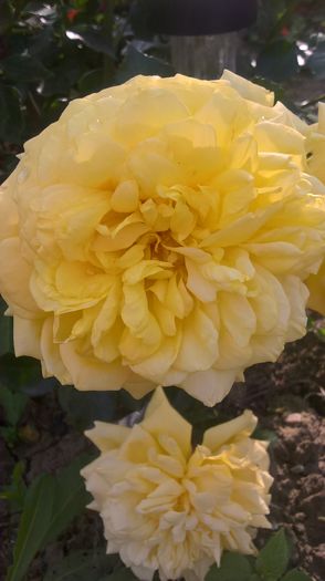 WP_20160521_17_41_13_Pro