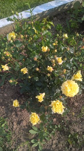 WP_20160521_17_46_09_Pro