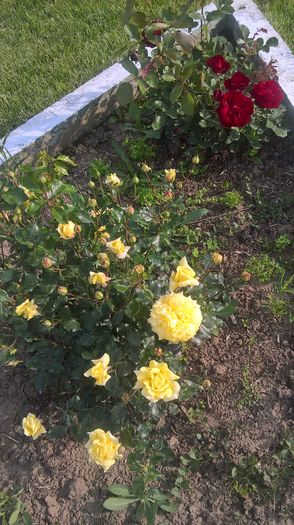 WP_20160521_17_46_20_Pro