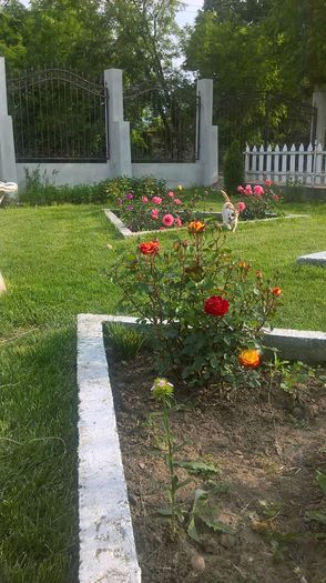 WP_20160521_17_51_52_Pro